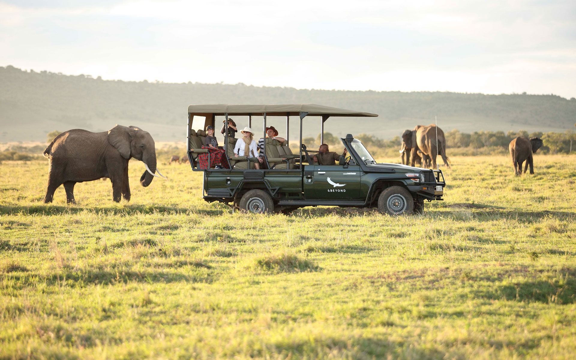 masai-mara-afrika-safari